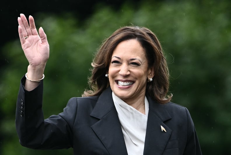 vice president kamala harris smiling at white house