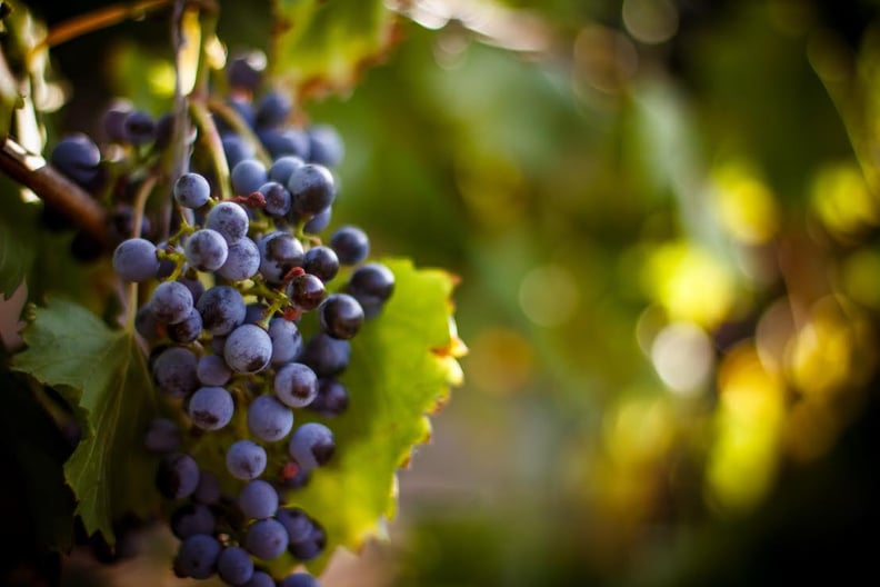 Grape