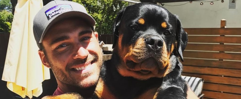 Ben Zorn's Dog From Bachelor in Paradise