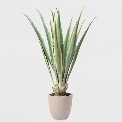48" Potted Agave