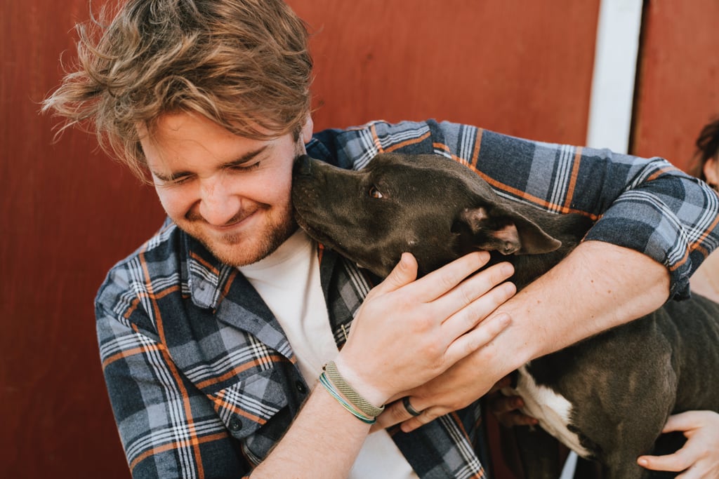 Volunteer at an Animal Shelter