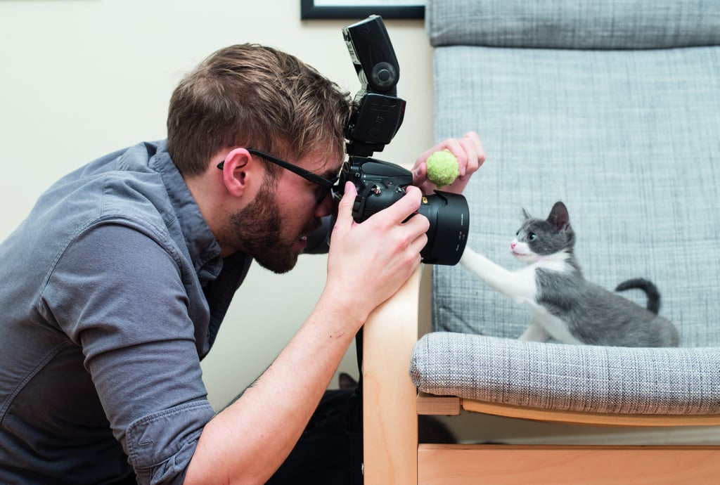 "Start off small with a crinkle ball. Toss it around, crunch it in your free hand, and wave it in front of your cat so that their eyes lock onto it. Continue to shake it around, ensuring that their focus is dialed in carefully on your hand. Now for the "trick" part—while continuing to crunch the ball, place it behind the camera, which is being held by your other hand, ready to fire. As soon as you put the ball behind your camera, you'll notice that your cat continues to look for the toy and follow its sound. They will gaze directly at your device. Now's your chance. Snap the photo!
Rinse/repeat as many times as it takes to get the shot. Much easier than you thought it would be, right? If they're not following it behind the device, you can also place the toy on top of it, as opposed to behind it. You'll get a very similar effect."