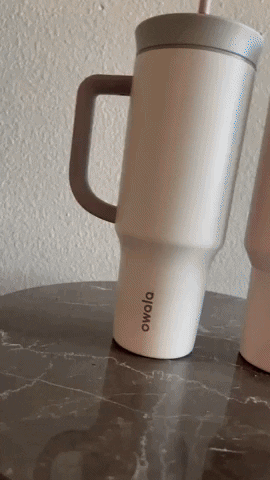 stanley tumbler owala tumbler testing the water temperature experiment