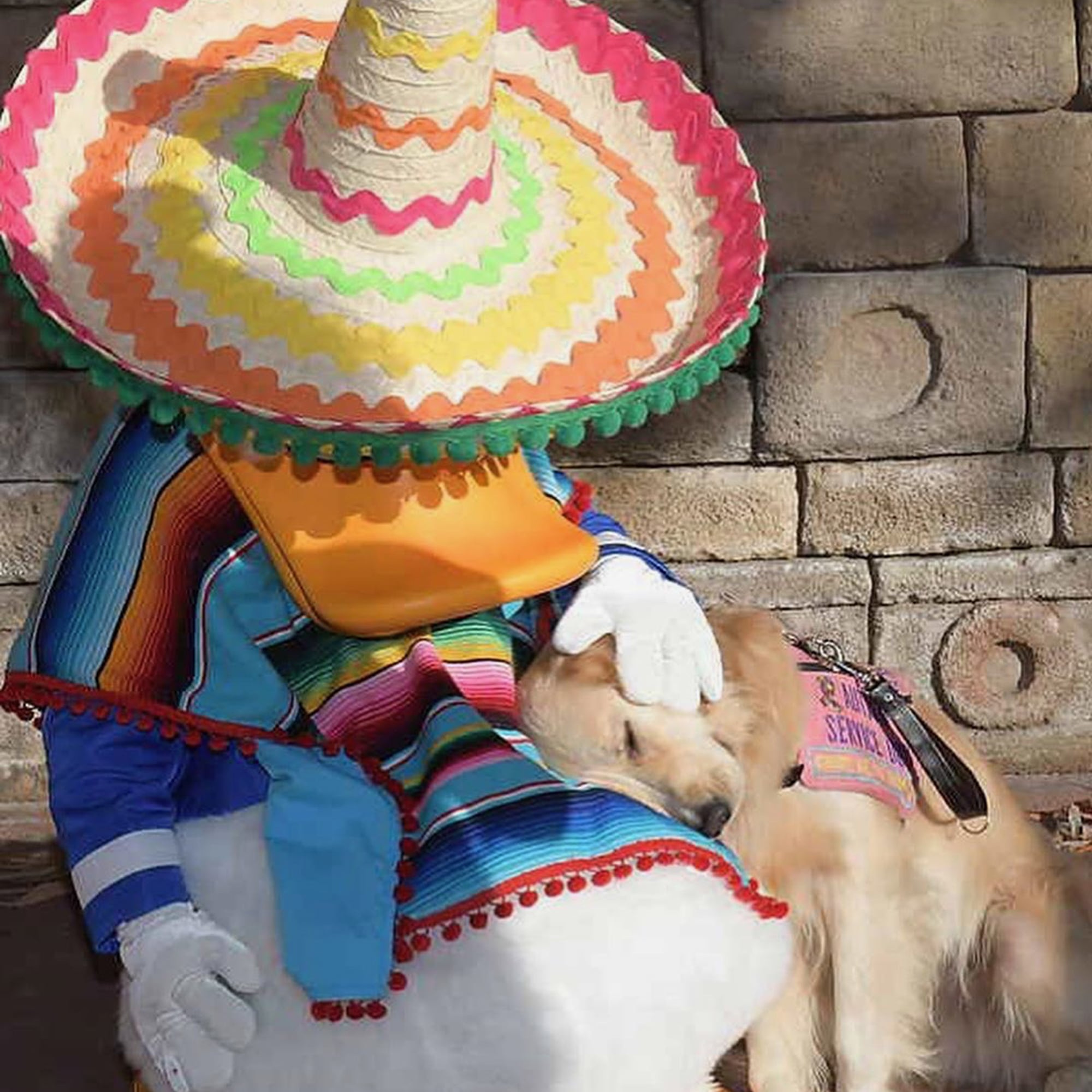 Service dog deals and donald duck