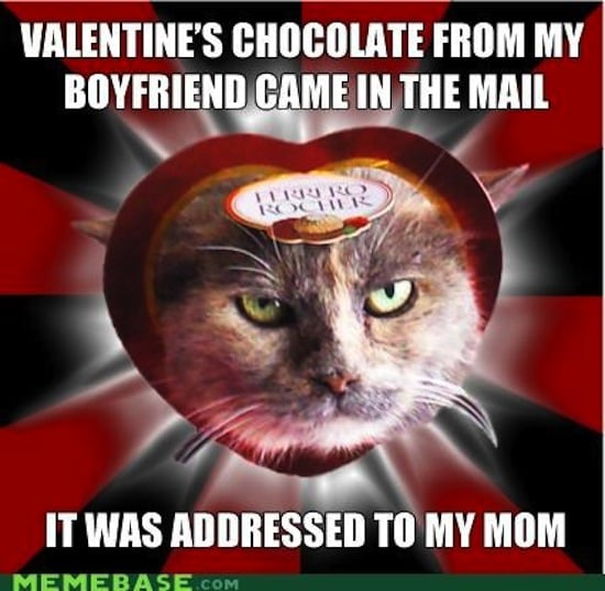 Apparently chocolates aren't for everyone, and this cat takes that to a literal level. 
Source: Cheezburger