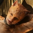 Taylor Swift's Dad Inspired the Director of Cats to Get All the Characters High on Catnip