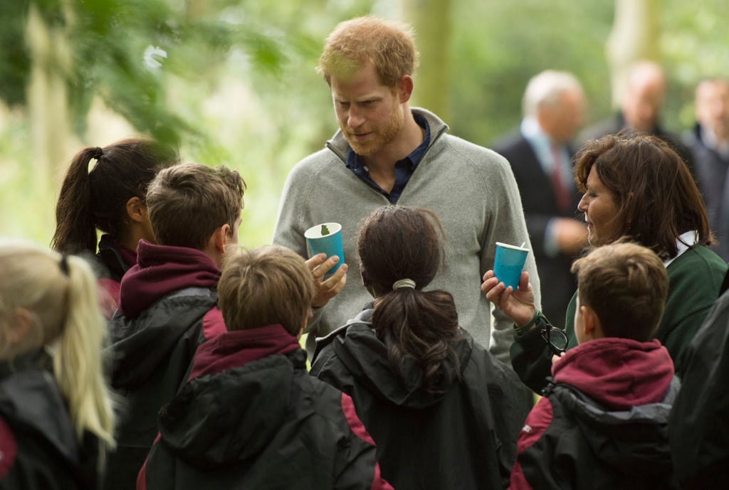 Prince Harry Visits The Wilderness Foundation September 2017