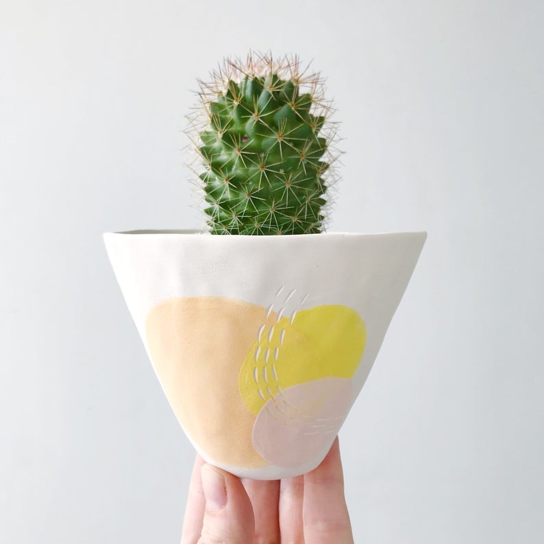 Edith Cactus Plant and Ceramic Planter