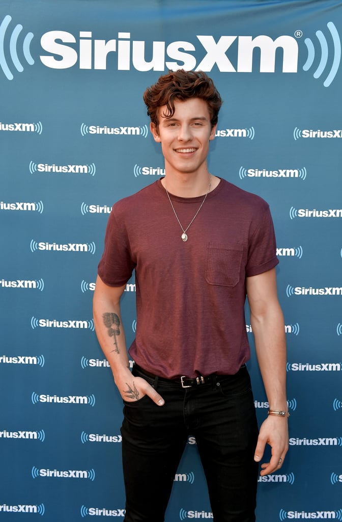 Hot Pictures of Shawn Mendes