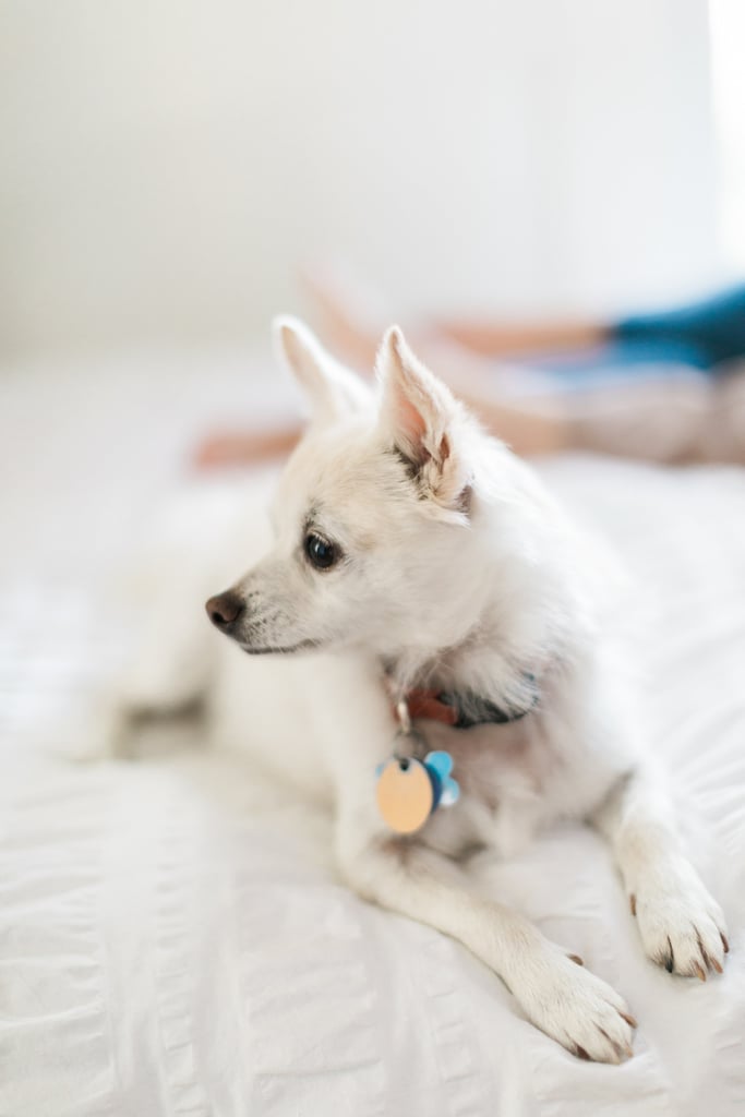 Newlywed Home Photo Session