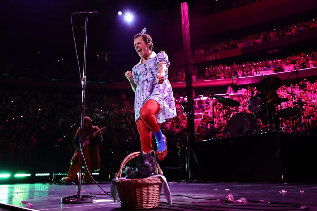 Harry Styles Dressed as Dorothy For Harryween Night 1