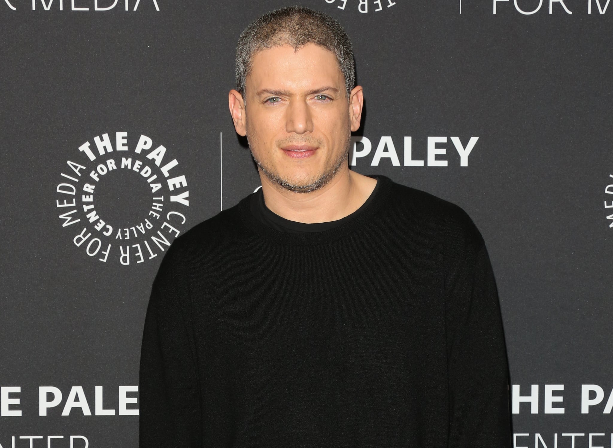 Wentworth Miller Facts POPSUGAR Celebrity