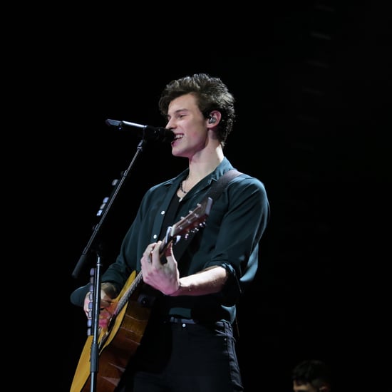 A Definitive Ranking of All of Shawn Mendes's Singles