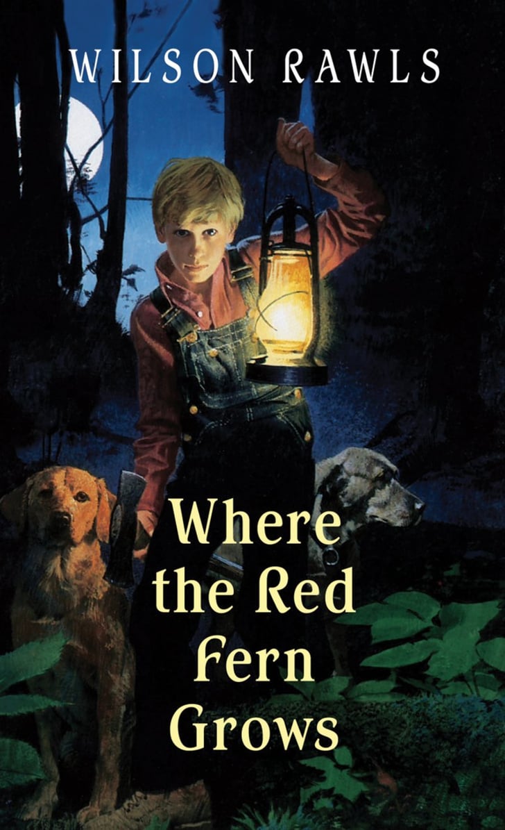 book report on where the red fern grows