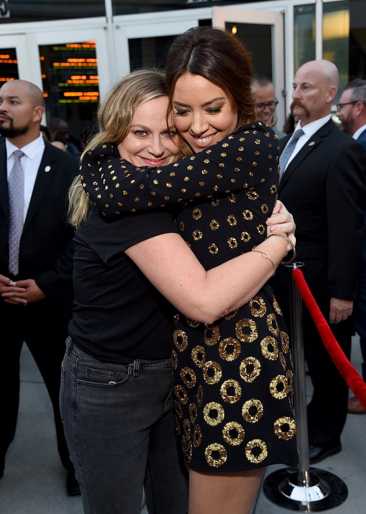 Parks and Recreation Reunion at Ingrid Goes West Premiere