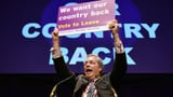What Is Brexit? (Video)