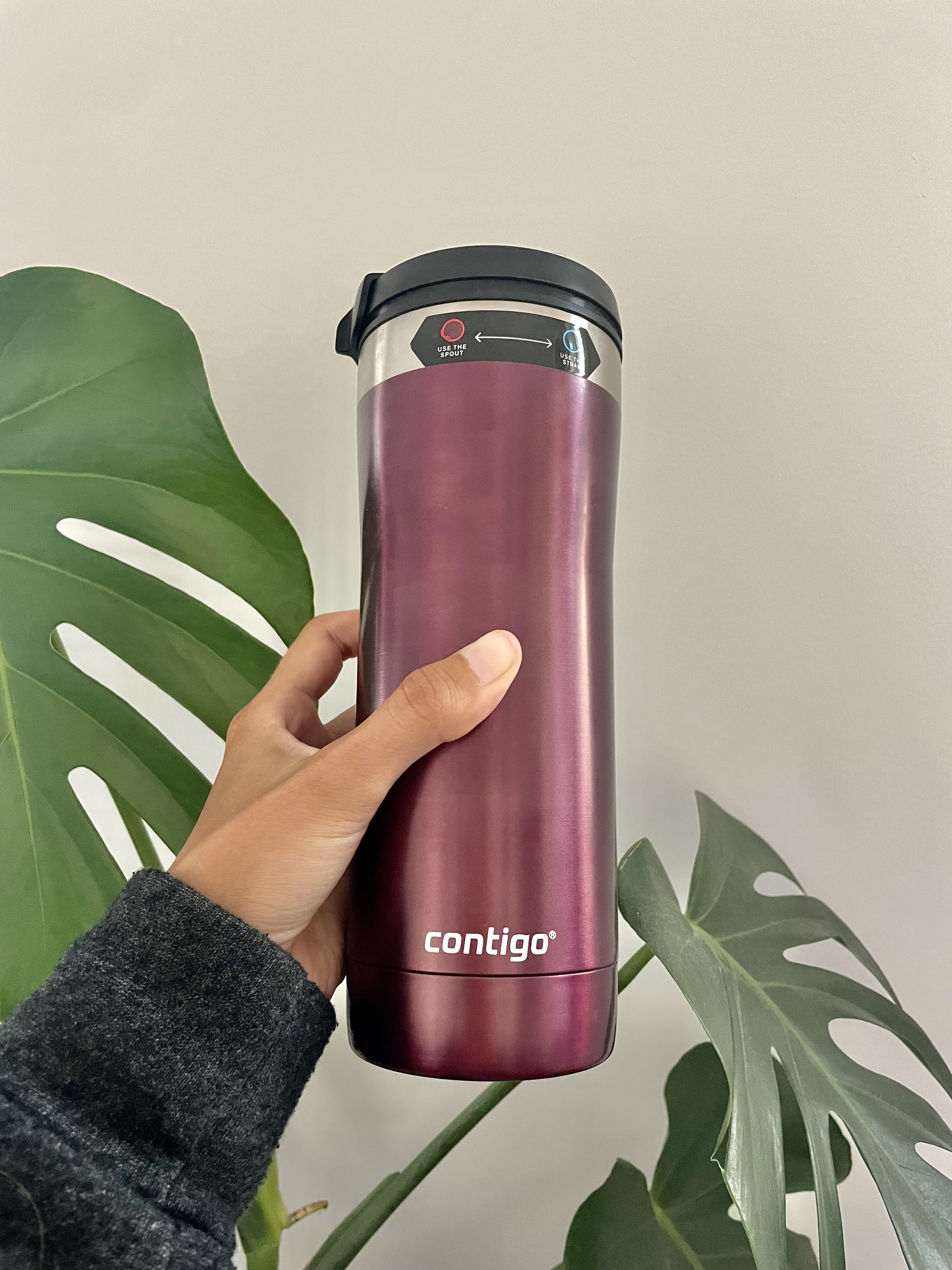 Contigo Uptown Dual-Sip Stainless Steel Tumbler with Straw Blue