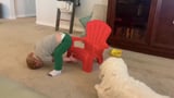 Toddler Tries to Sit in a Chair For the First Time | Video