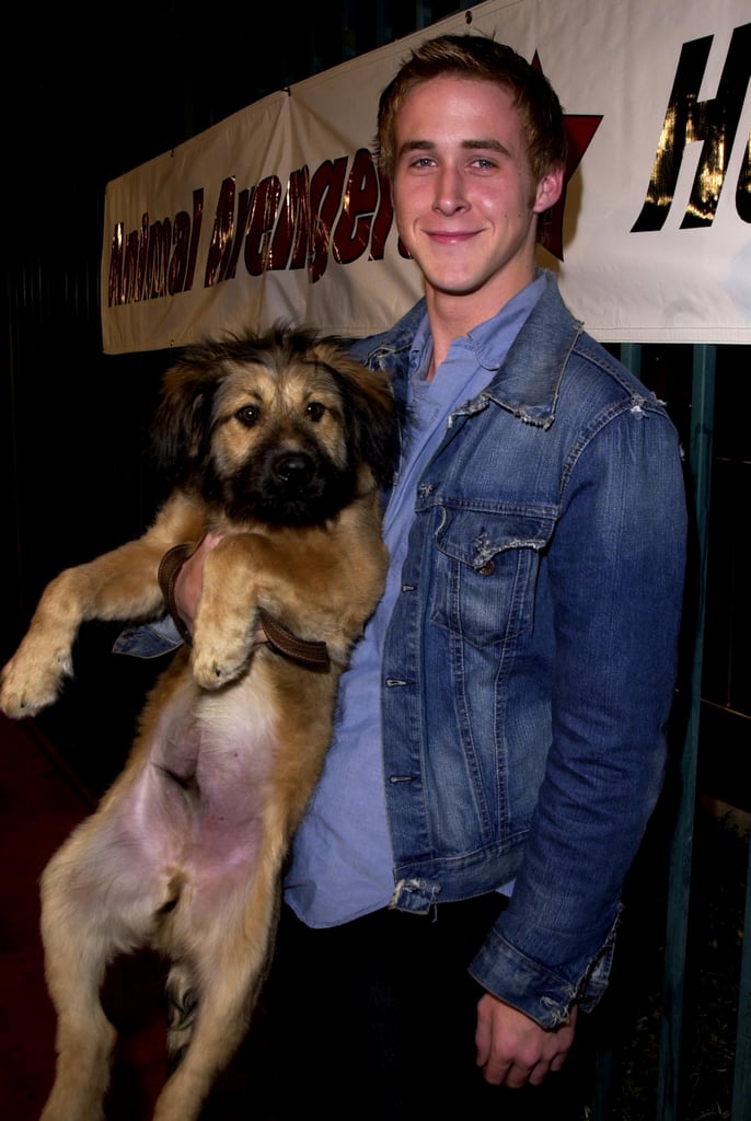 When He Gets to Bring His Dog on the Red Carpet.