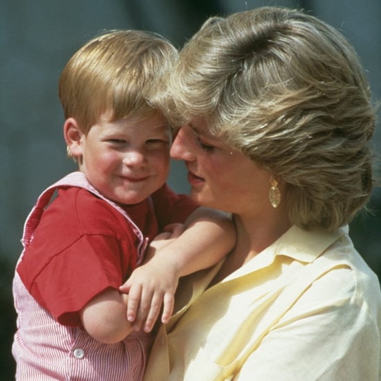 Prince Harry Carrying on Diana's Work