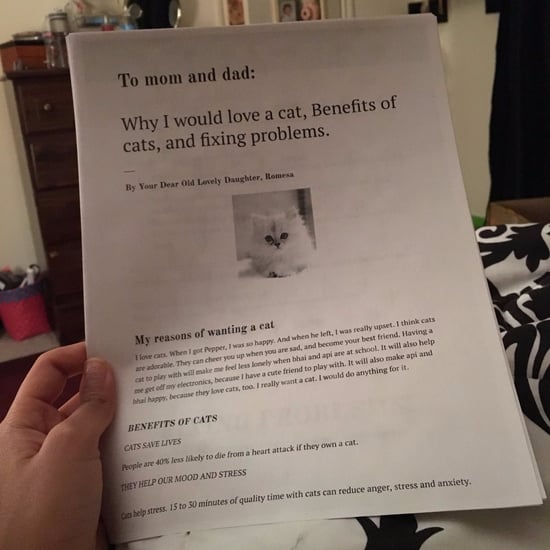 Girl's 6-Page Report on Why She Wants a Cat