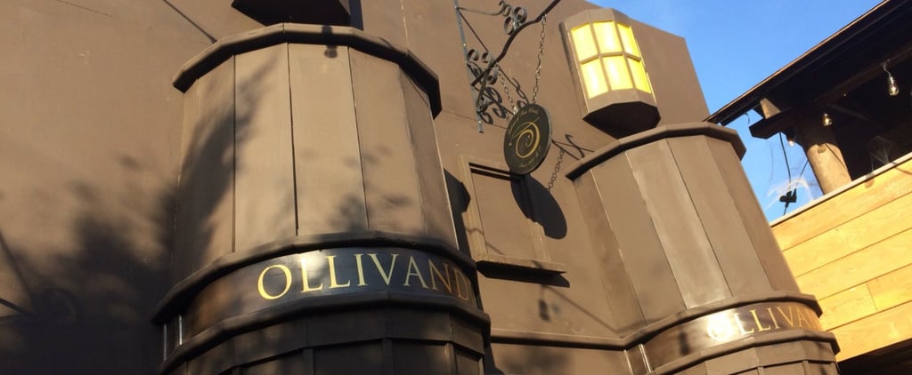 Family Turns Driveway Into Diagon Alley