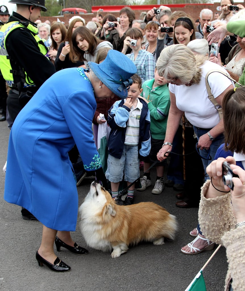 Why Did Queen Elizabeth Have So Many Corgis?