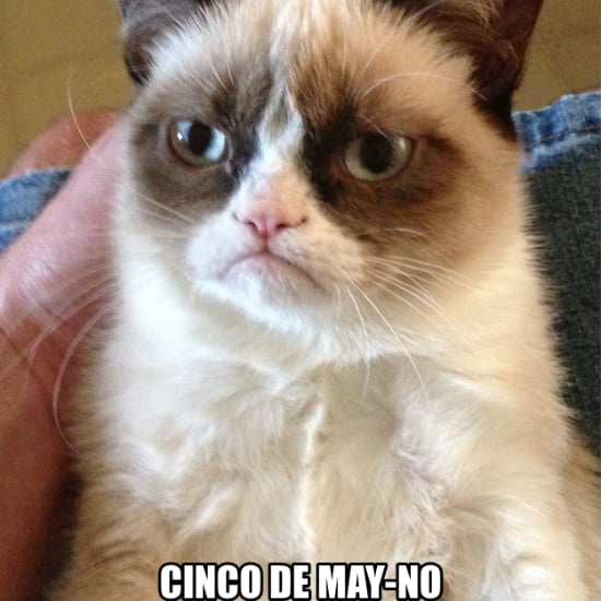 Cinco de Mayo Memes