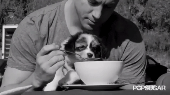 Channing Tatum Sharing His Food With a Puppy