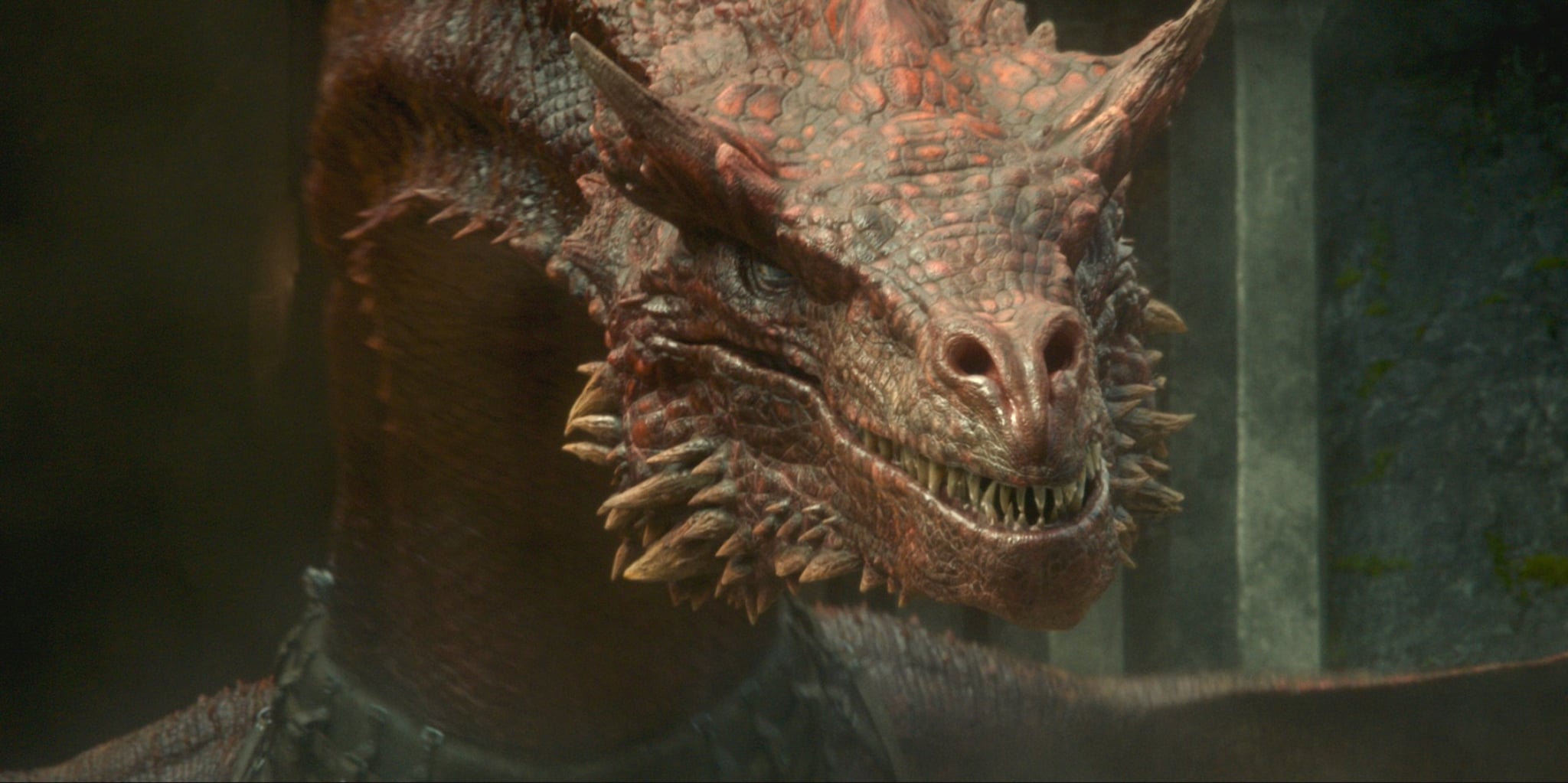 House of the Dragon Dragon Close Up