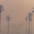 How to Stay Safe From Poor Air Quality, According to MDs