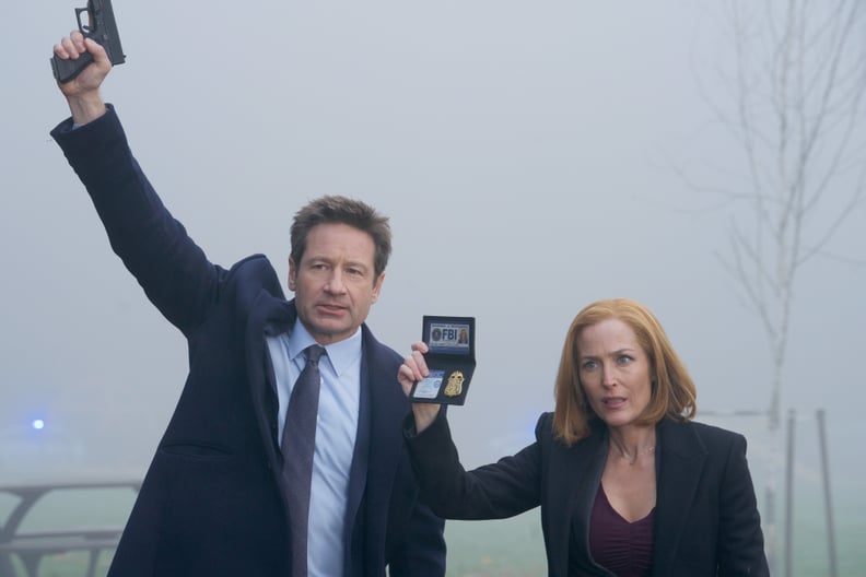 The X-Files (2016-2018)