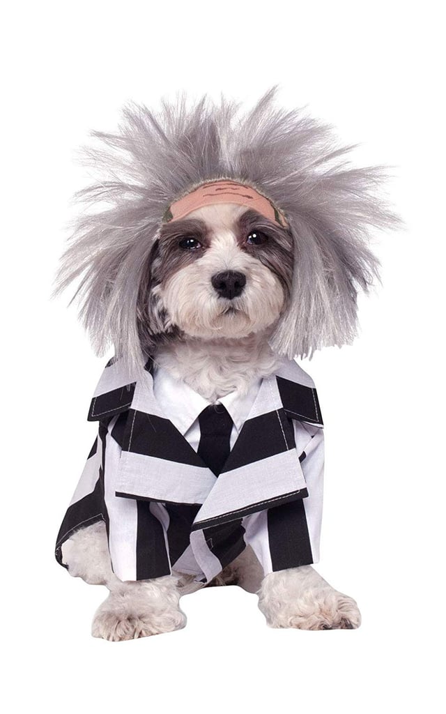 Beetlejuice Pet Costume