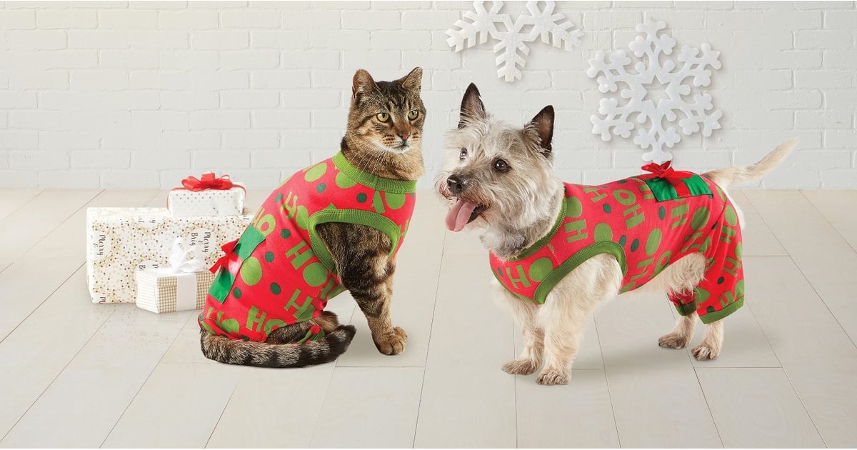 Cutest Pet Pajamas at Target POPSUGAR Family