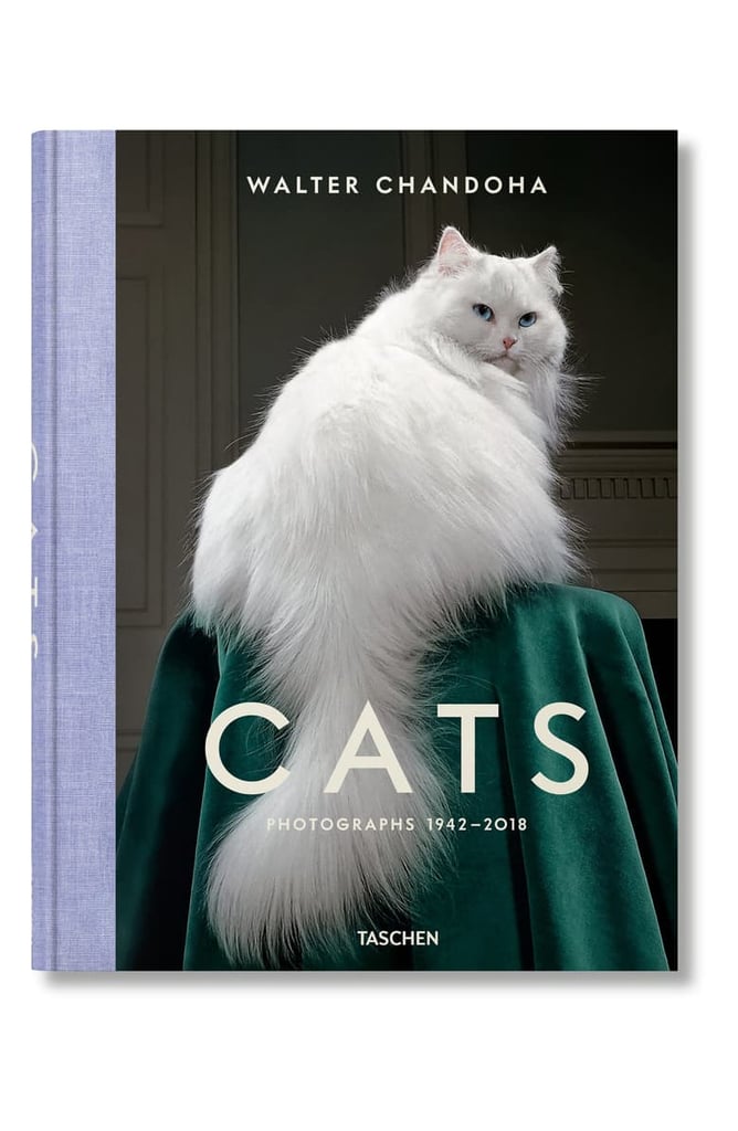 Walter Chandoha Cats: Photographs 1942-2018