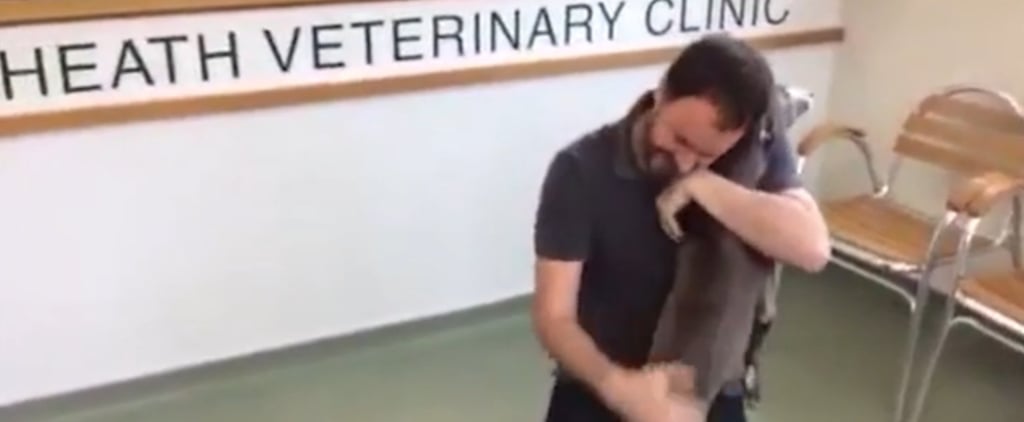 Stolen Dog Reunited With Owner Thanks to Microchip
