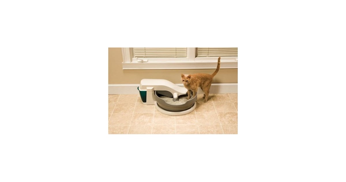 PetSafe Simply Clean ContinuousClean Litter Box Best SelfCleaning