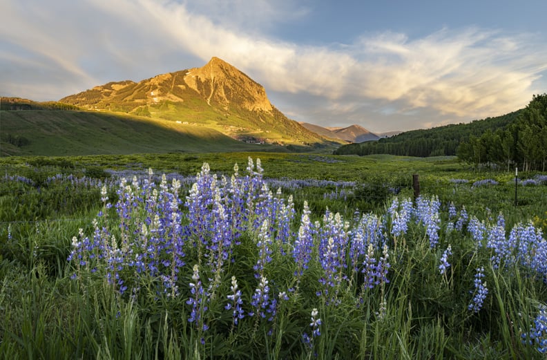 Crested Butte, Colorado