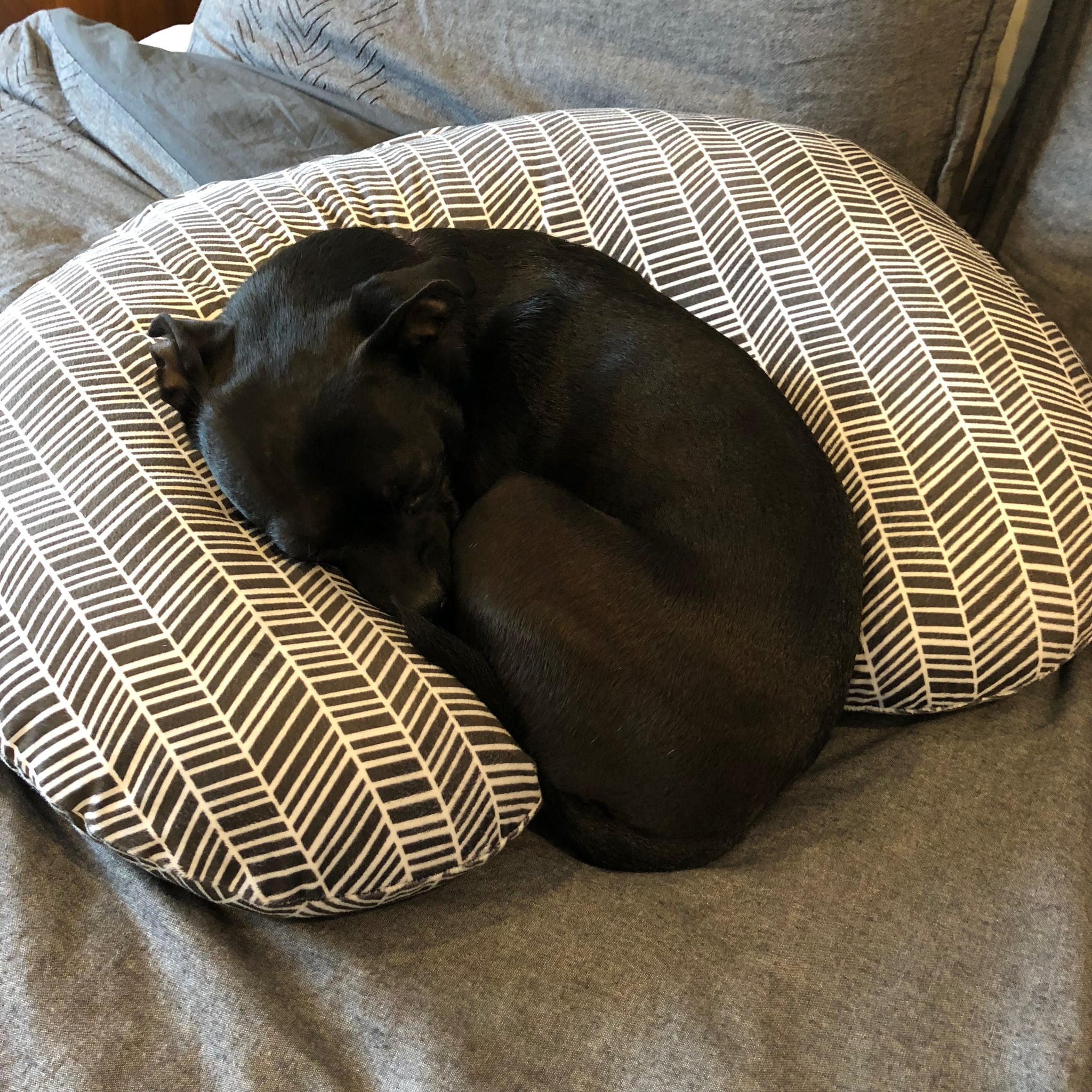 How to Reuse Nursing Pillows POPSUGAR Family