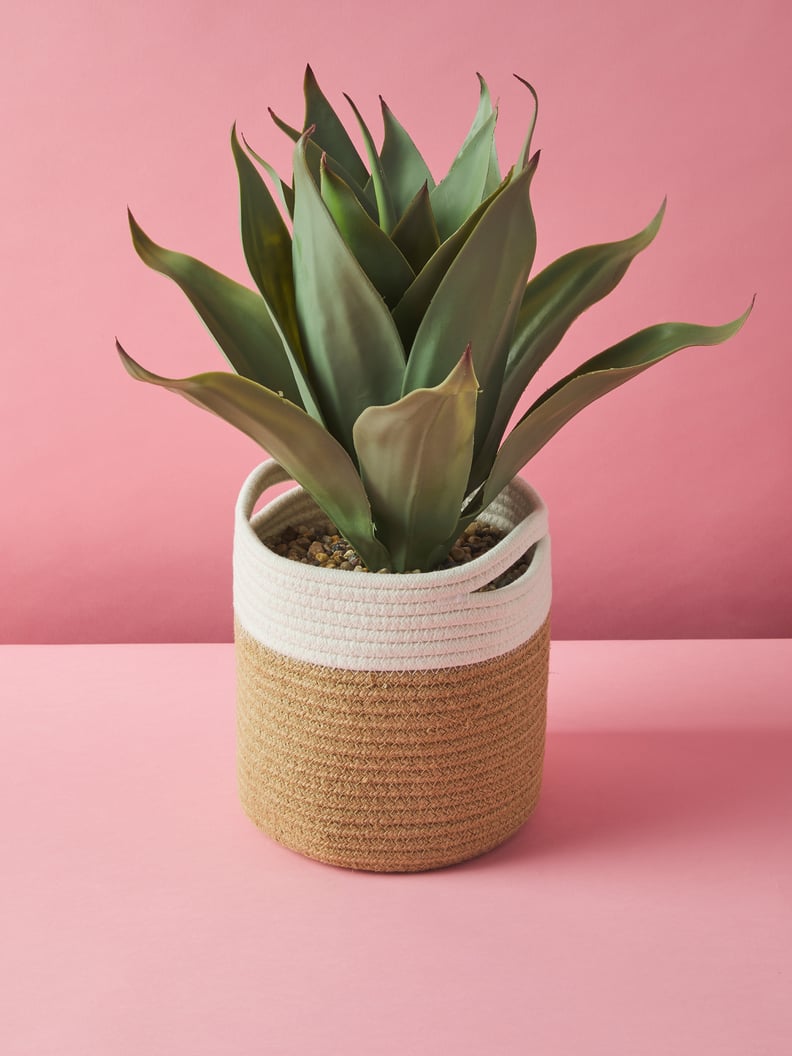A Faux Plant: Artificial Agave Plant In Basket