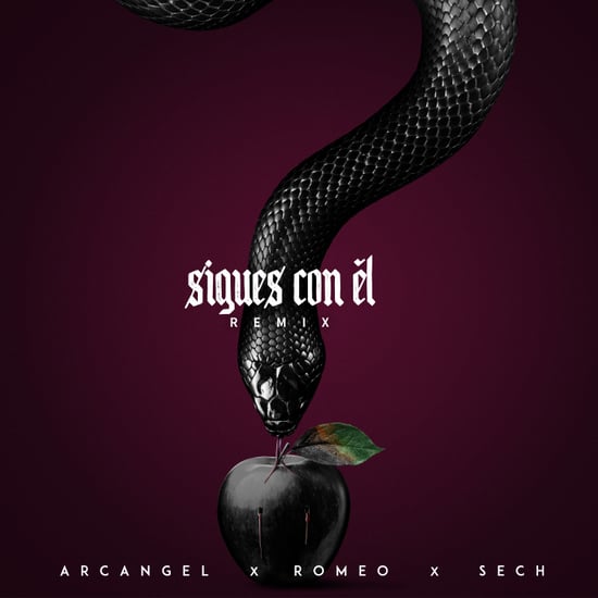 "Sigues Con El" Remix by Arcáncel, Sech, Romeo Santos