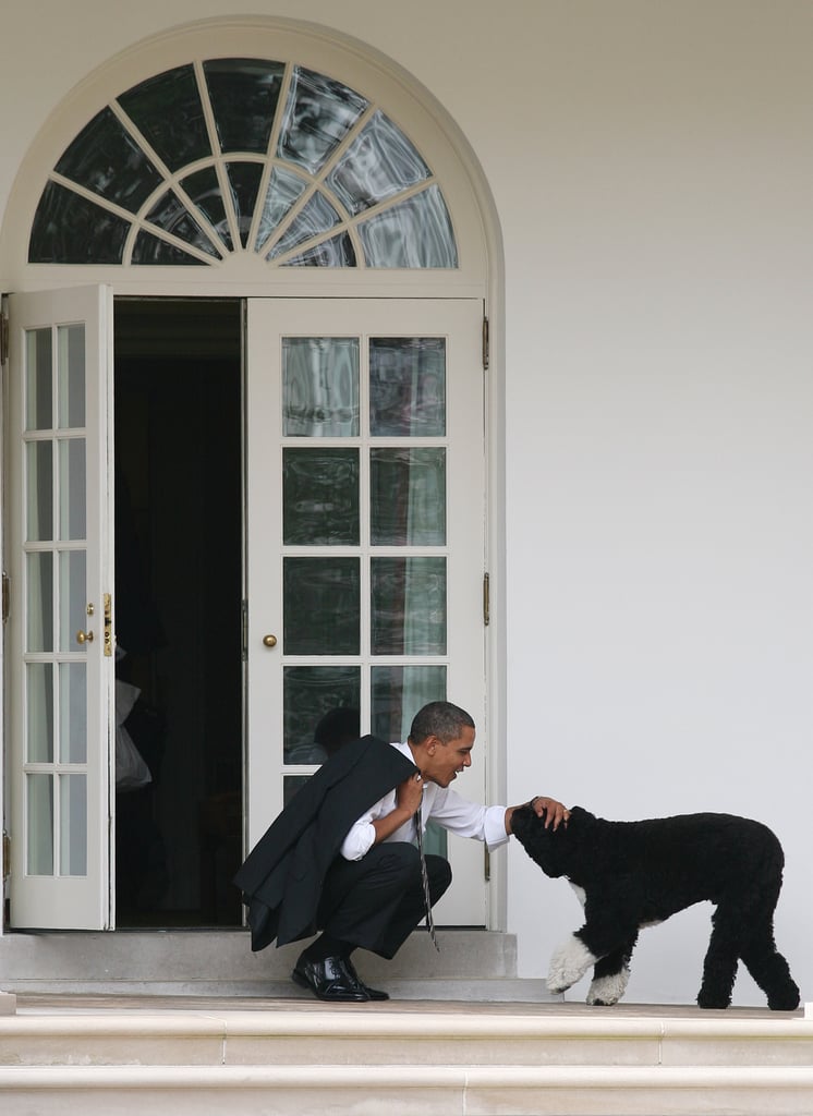 The president squatted down with Bo outside of the Oval Office in 2012.