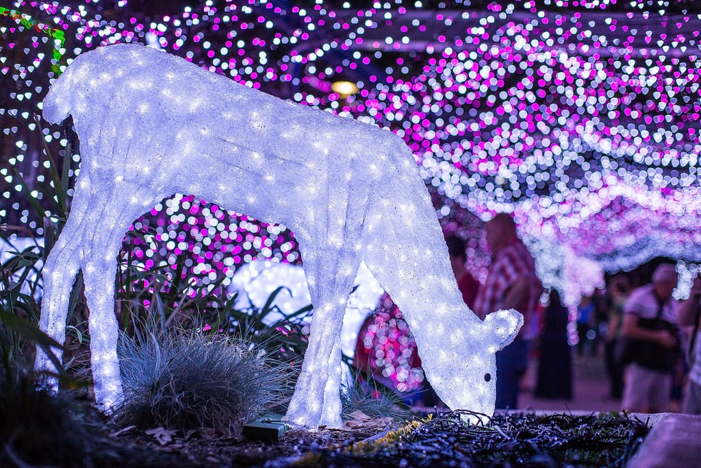 People in Canberra, Australia, checked out the record-breaking light display.