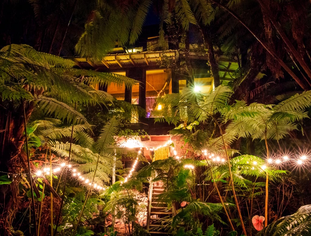 Volcano Tree House Rental in Hawaii