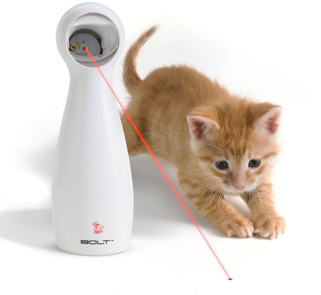 PetSafe Bolt Interactive Laser Cat Toy ($24)
If you need to keep your cat entertained for a bit, this toy provides hours of exciting fun with just the press of a button. Your cat will have a blast chasing after the laser patterns, all the while curbing boredom, anxiety, and inactivity.