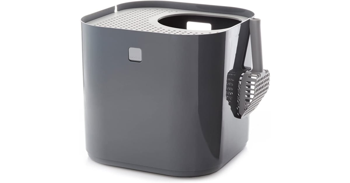Modkat Litter Box Best Products For New Cat Owners POPSUGAR UK Pets