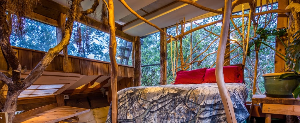 Volcano Tree House Rental in Hawaii