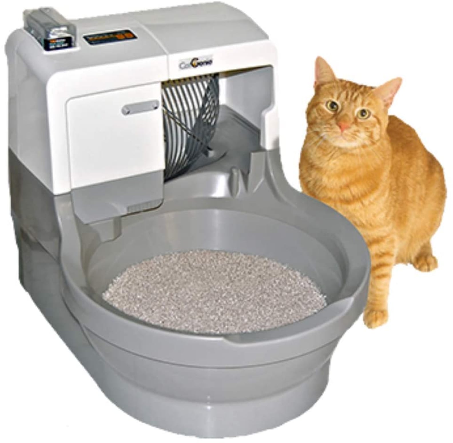 Best SelfCleaning Litter Boxes For Cats POPSUGAR Pets