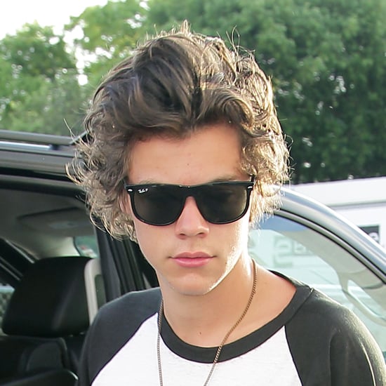 Harry Styles's Hair Pictures