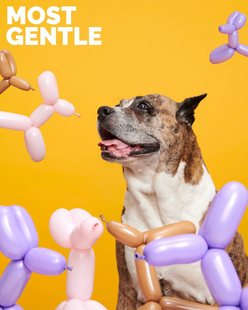 Petunia, Most Gentle